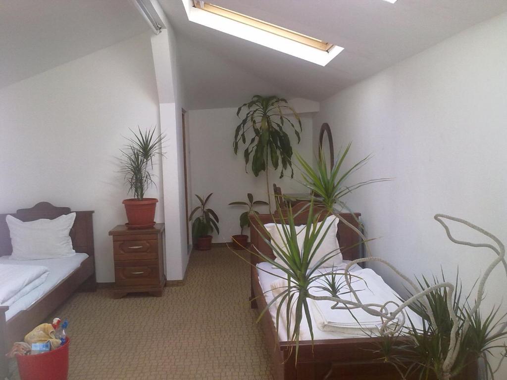 Guest House Todorini Kashti كوبريفشتيتسا الغرفة الصورة