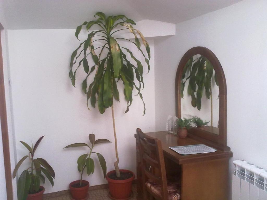 Guest House Todorini Kashti كوبريفشتيتسا الغرفة الصورة